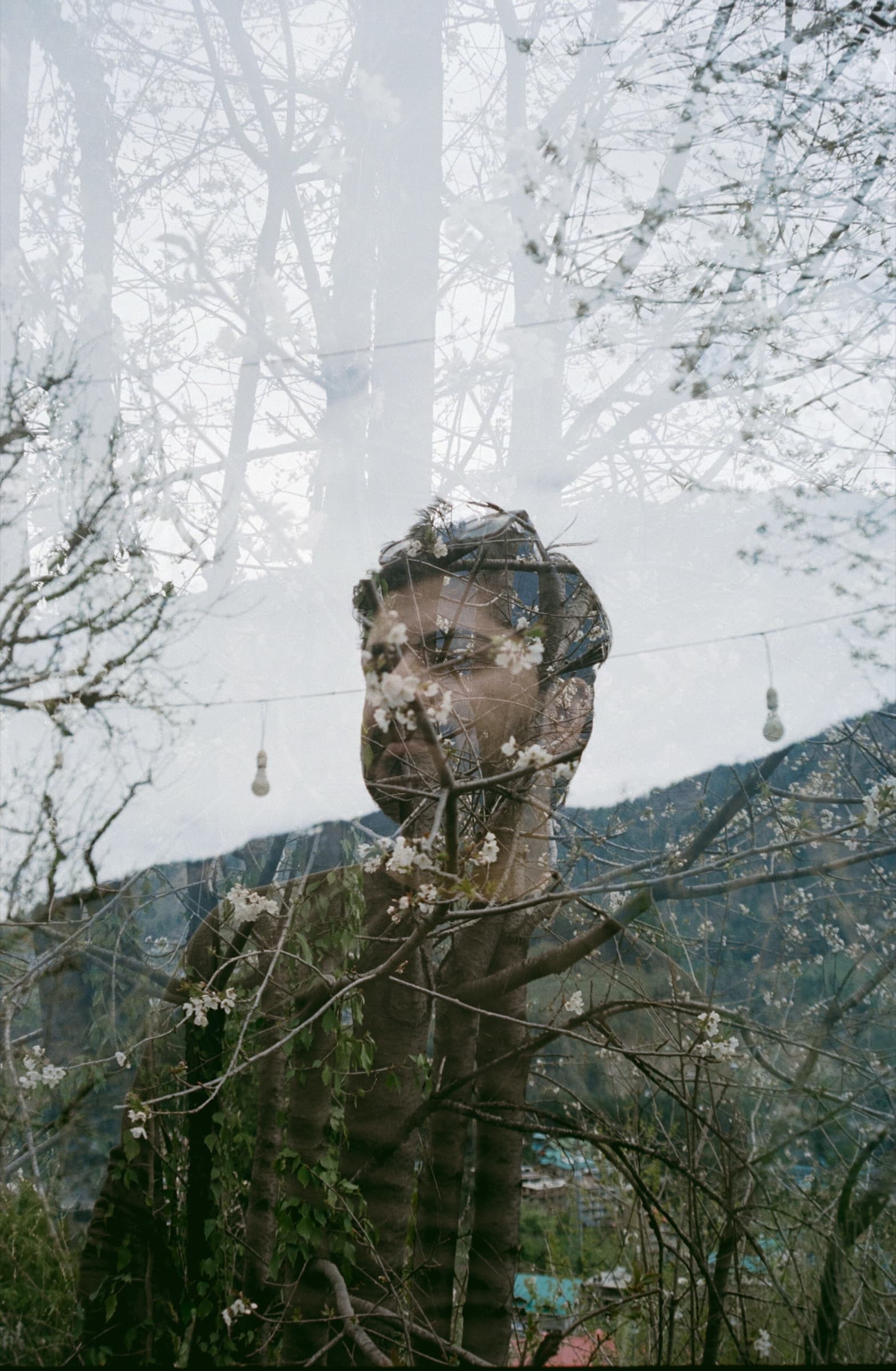 Double exposure of a face over trees, Manali
