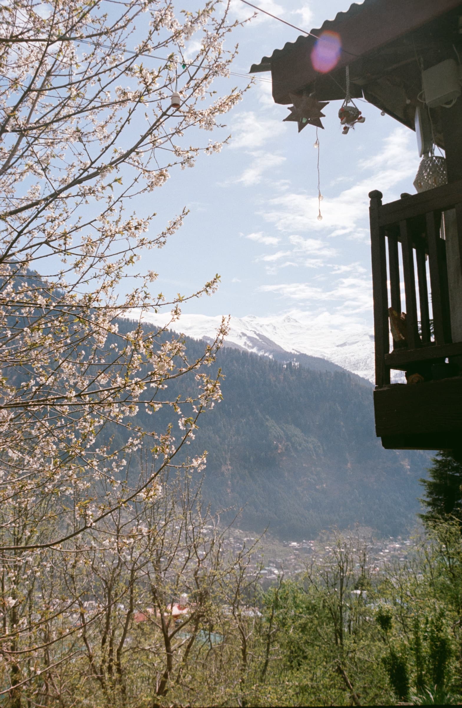 Blossoms and a balcony, Manali