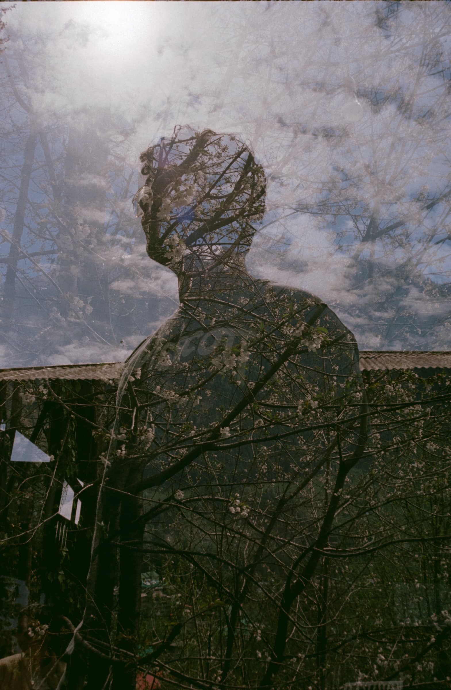 Silhouette double exposure, Manali