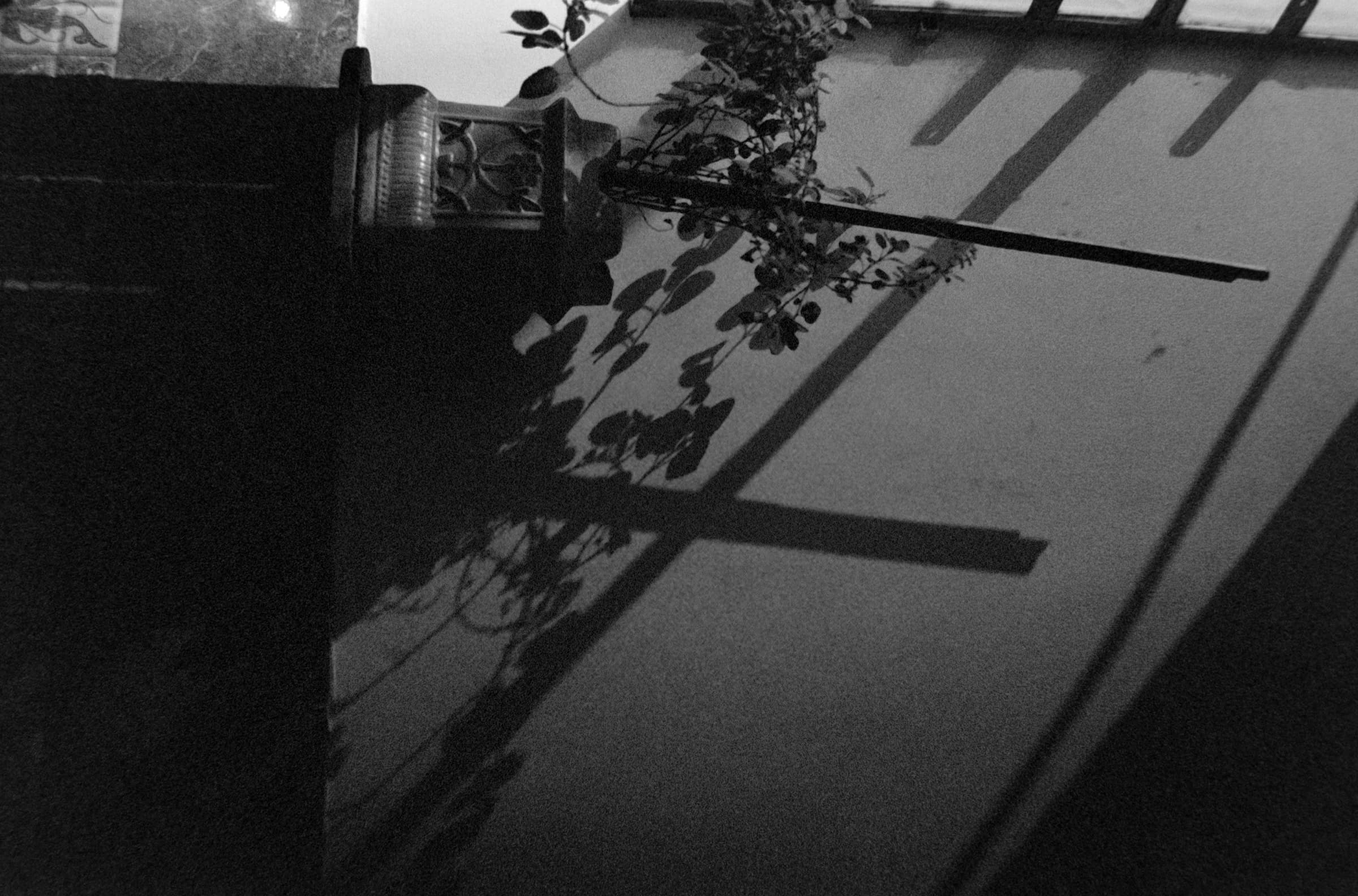 Light and shadow study, Mahabaleshwar