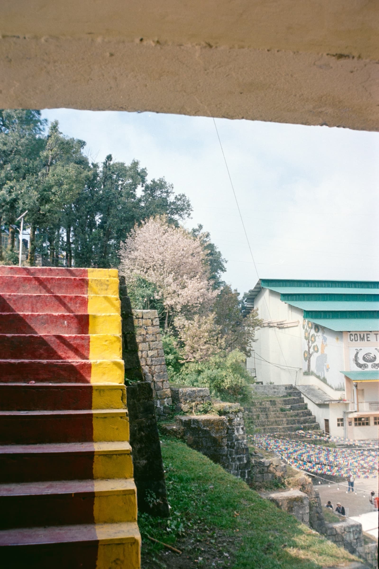 Rainbow-painted steps, Dharamshala