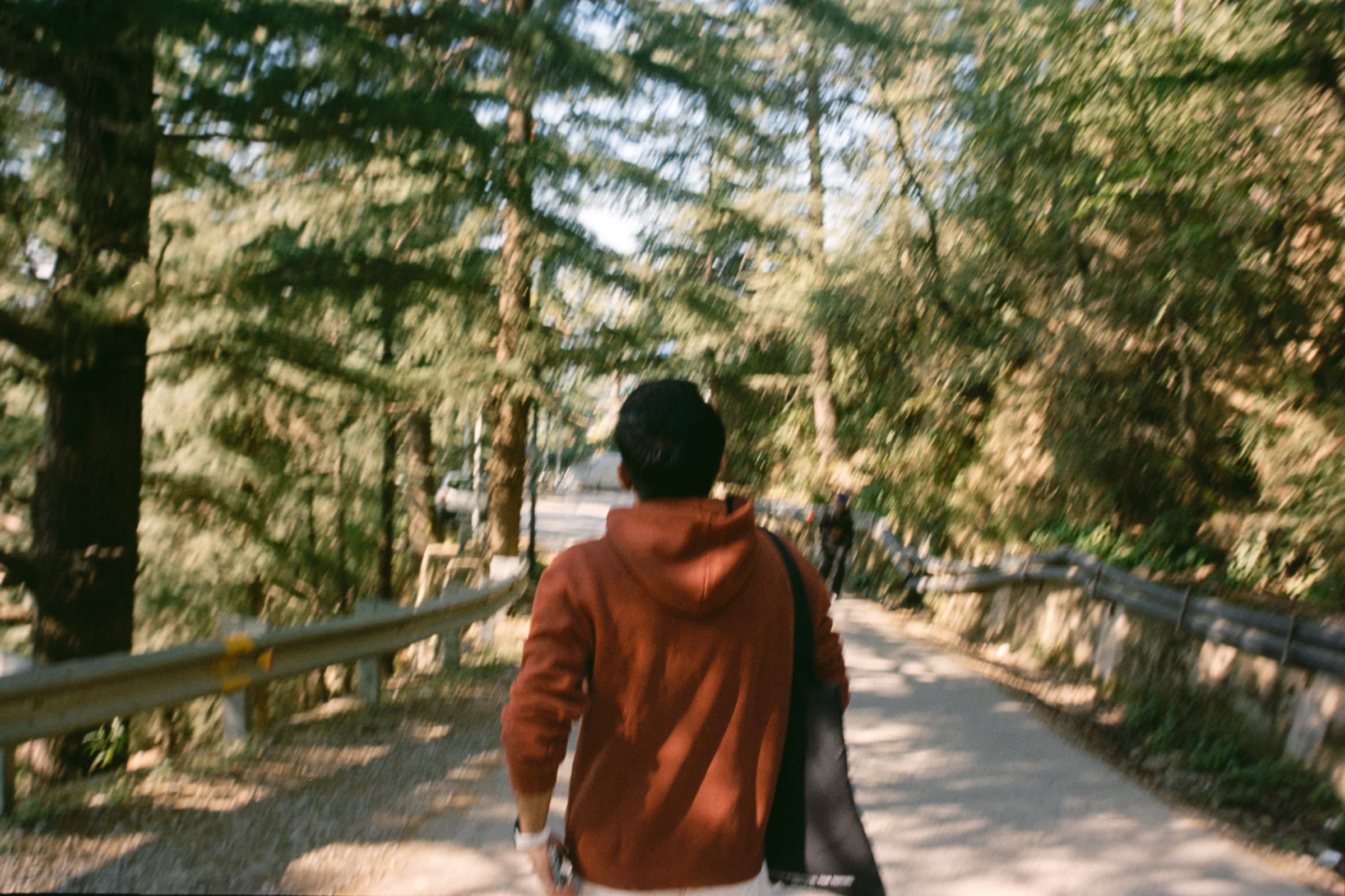 A figure walking a forest path, Dharamshala