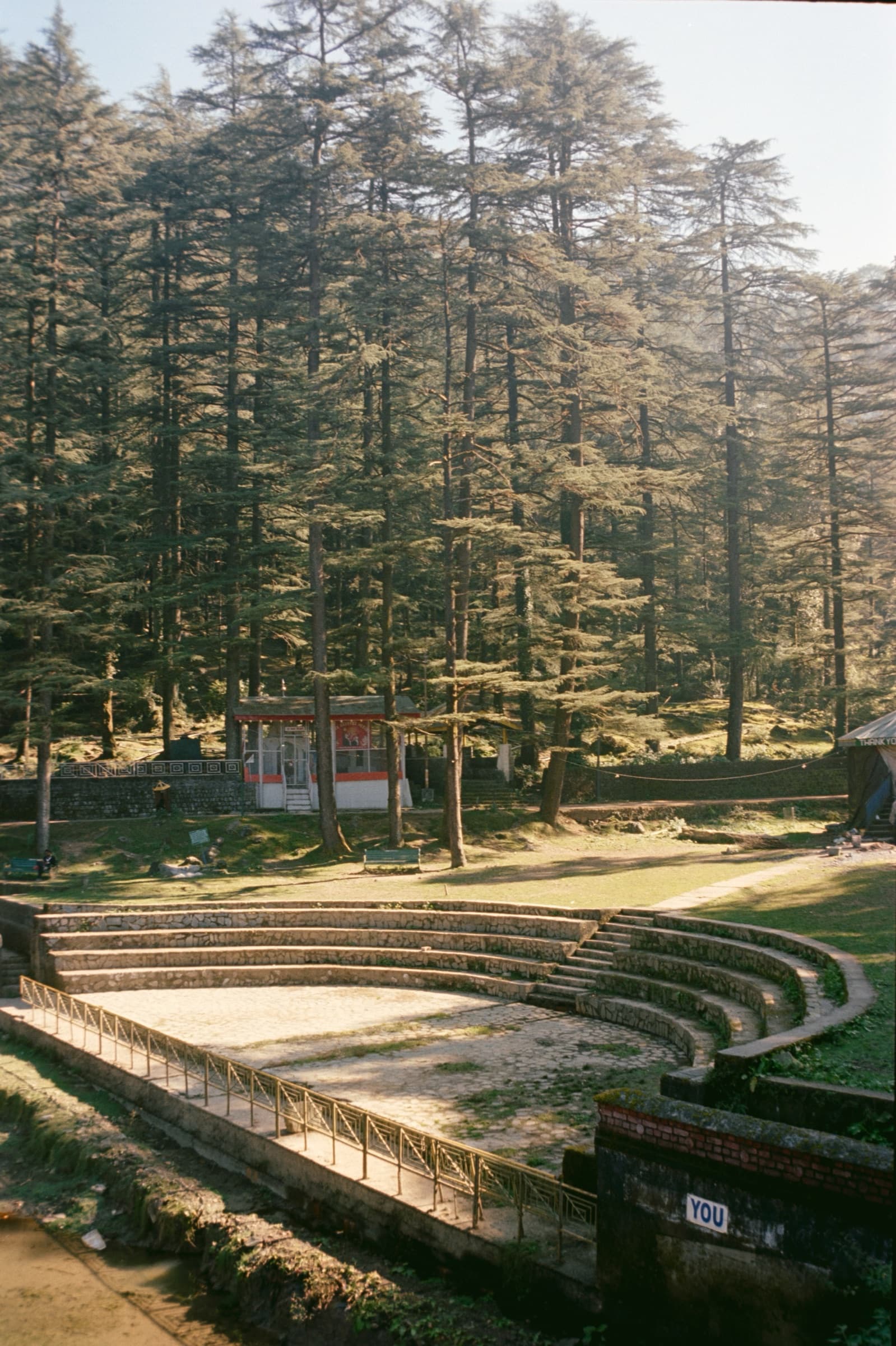 Amphitheatre steps in the forest, Dharamshala