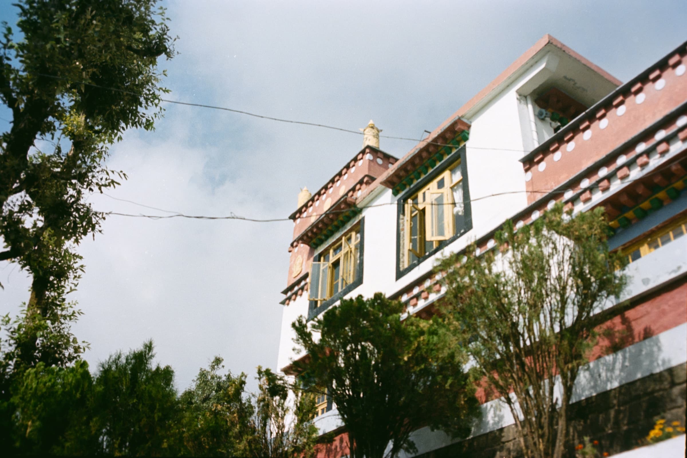 A Tibetan-style building among trees, Dharamshala