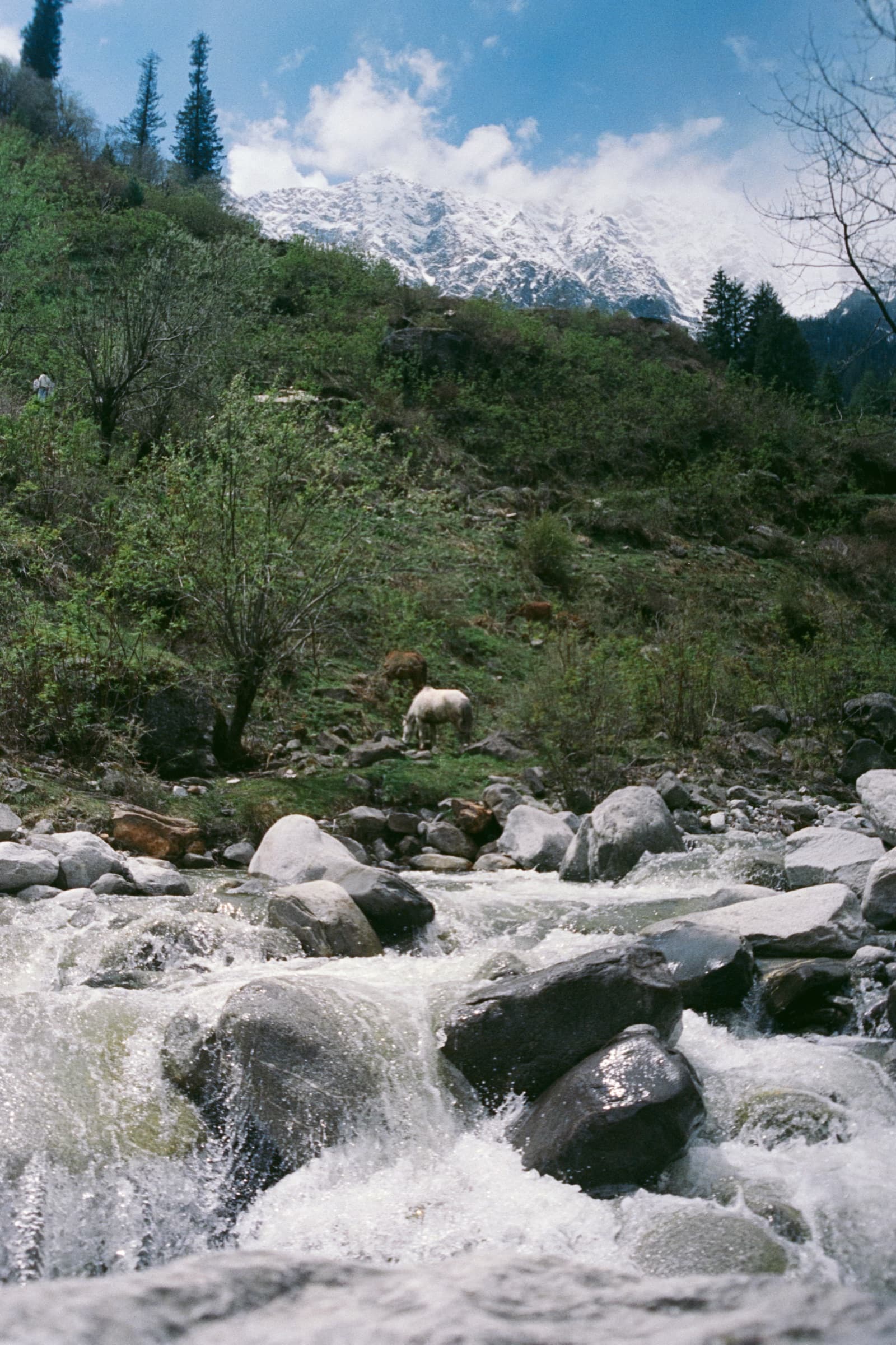 A mountain stream over rocks, Manali
